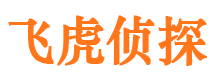 闵行市私家侦探